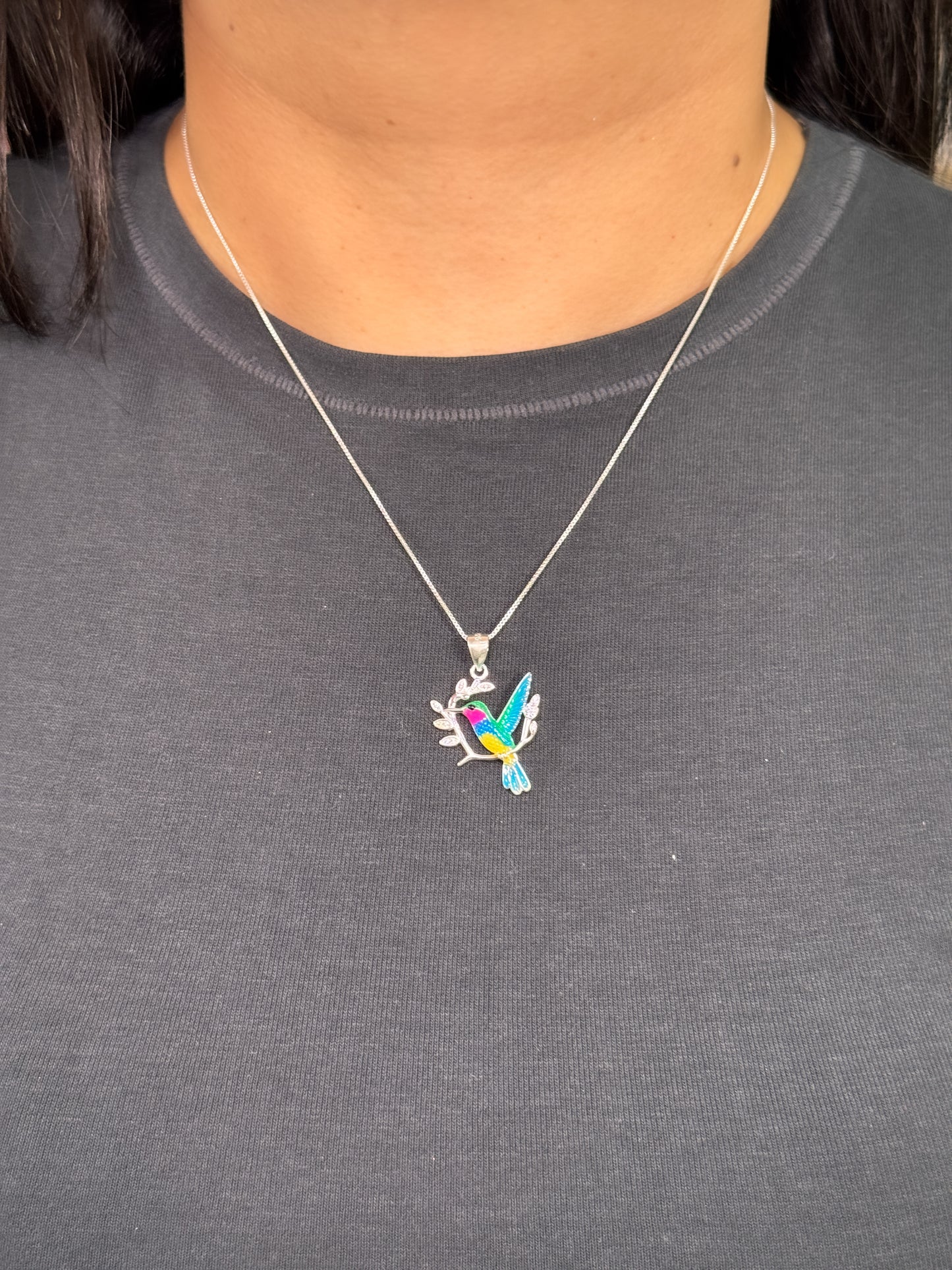 Cadena colibrí en ramas