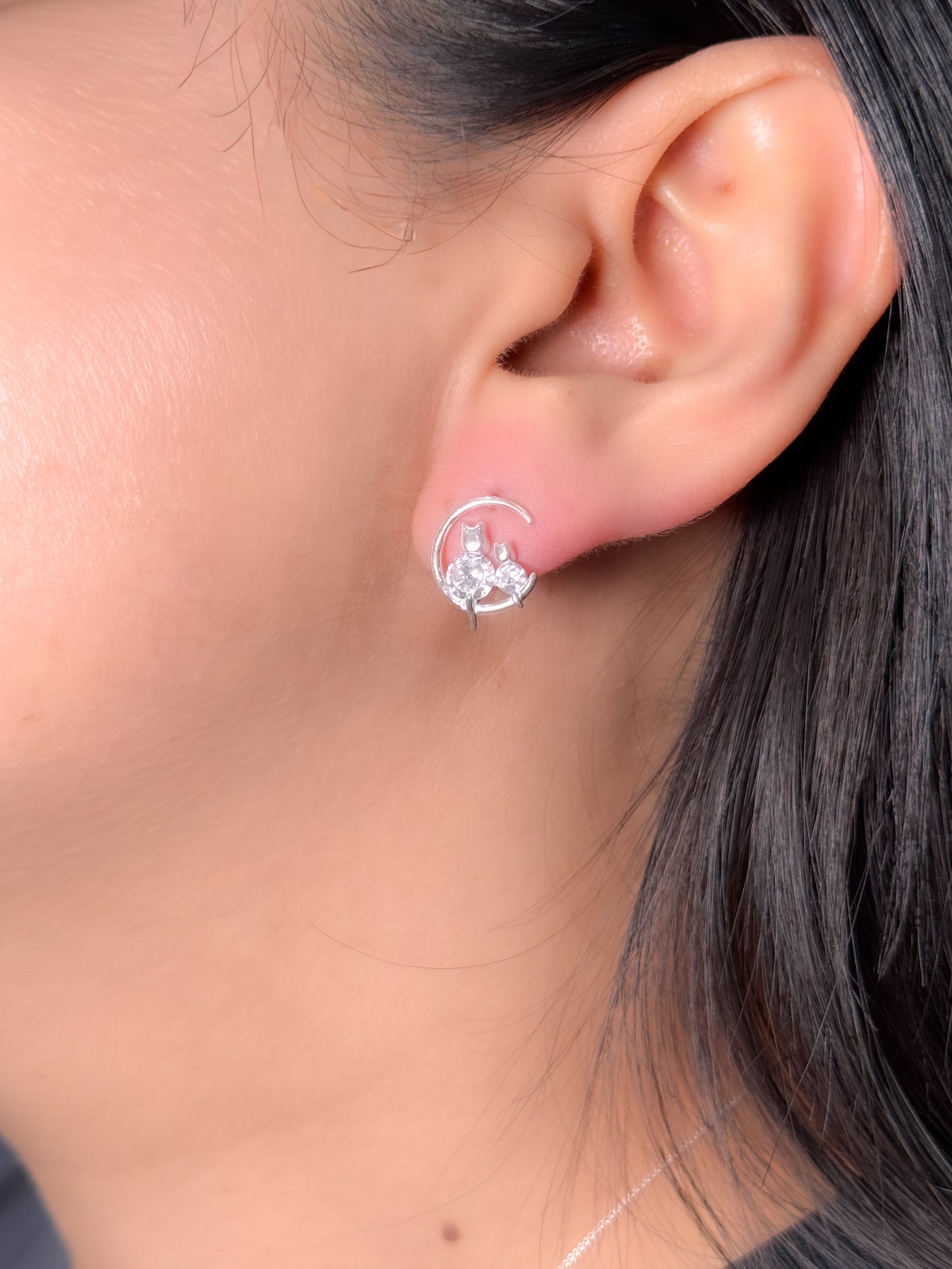 Juego de gatos en luna