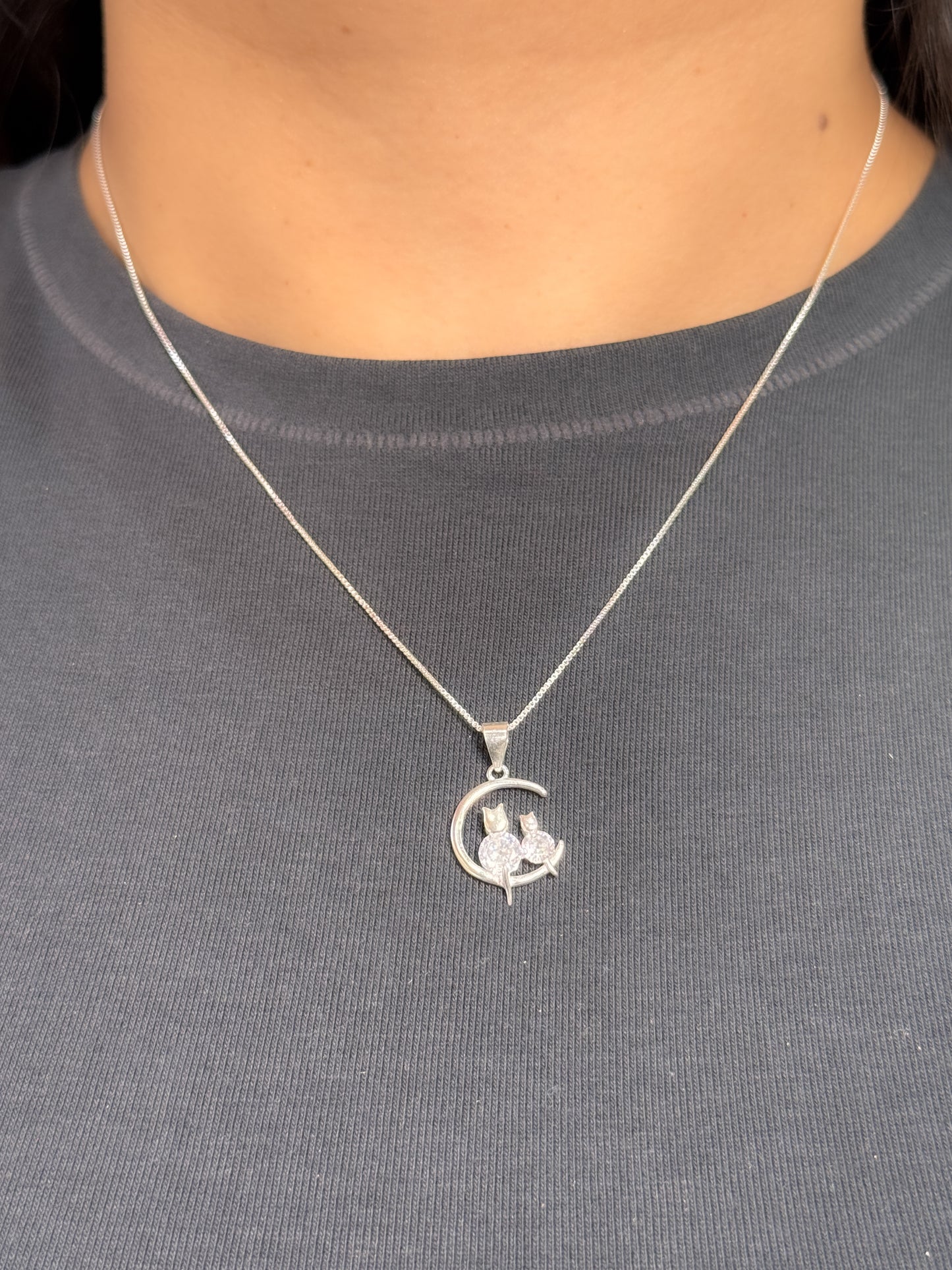 Juego de gatos en luna