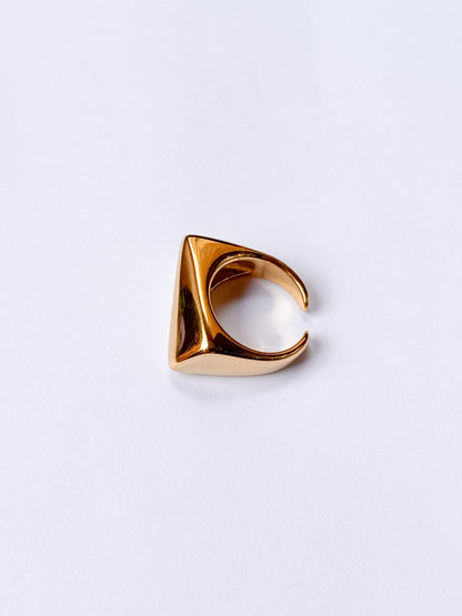 Anillo geometrizado
