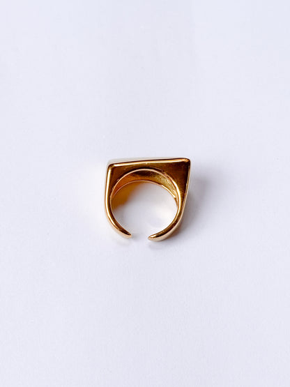 Anillo geometrizado