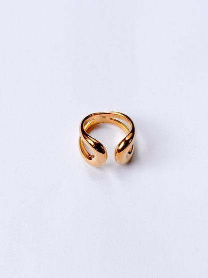 Anillo duo curvado