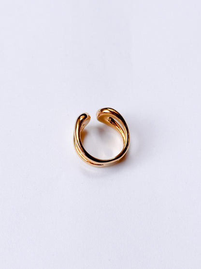Anillo duo curvado