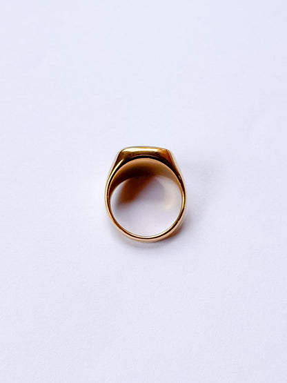 Anillo esencia marina